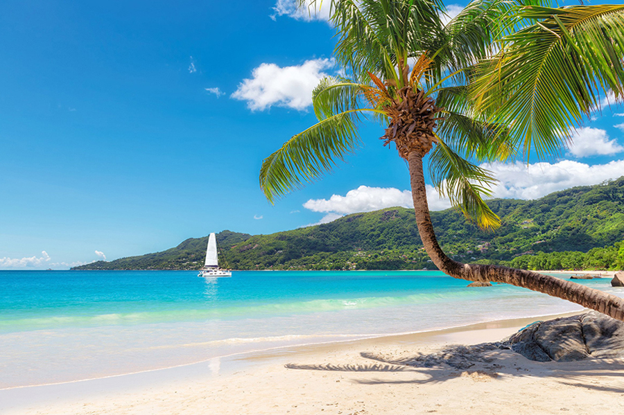 Caribbean. Credits: Sailwiz